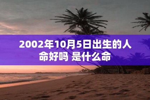 2002年10月5日出生的人命好吗 是什么命