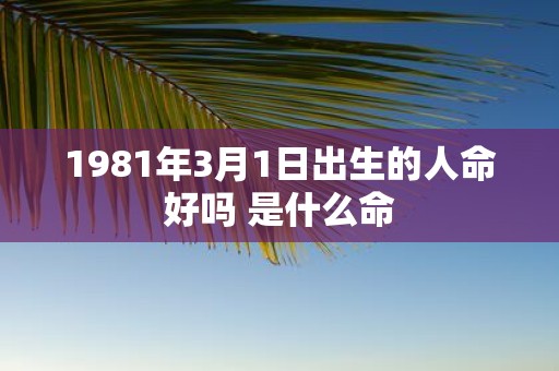 1981年3月1日出生的人命好吗 是什么命