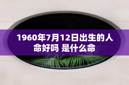 1960年7月12日出生的人命好吗 是什么命