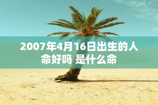2007年4月16日出生的人命好吗 是什么命