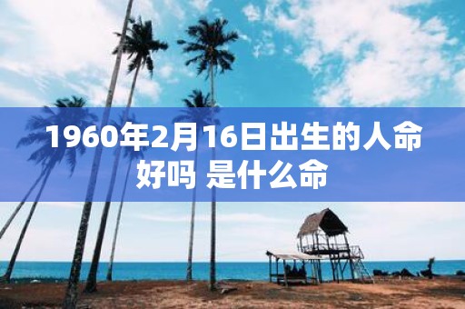 1960年2月16日出生的人命好吗 是什么命