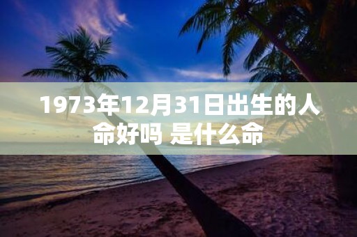 1973年12月31日出生的人命好吗 是什么命