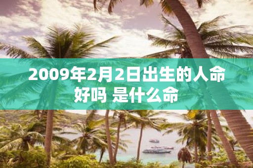 2009年2月2日出生的人命好吗 是什么命