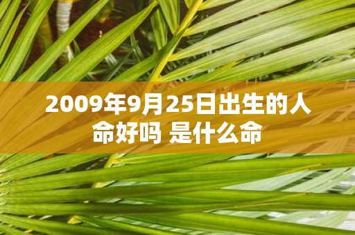 2009年9月25日出生的人命好吗 是什么命