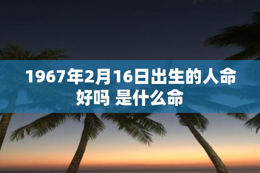 1967年2月16日出生的人命好吗 是什么命
