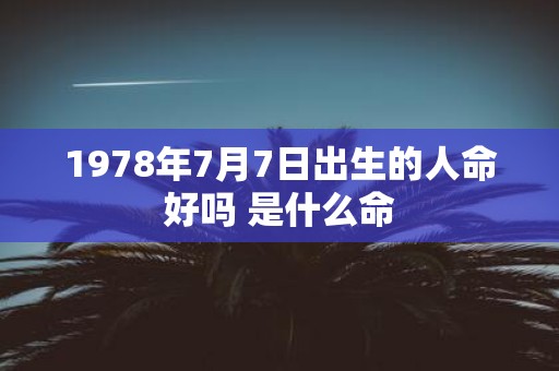 1978年7月7日出生的人命好吗 是什么命