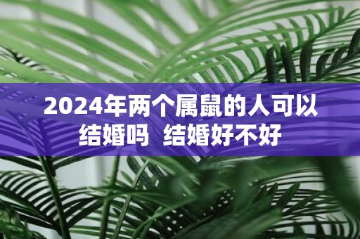 2025年两个属鼠的人可以结婚吗 结婚好不好