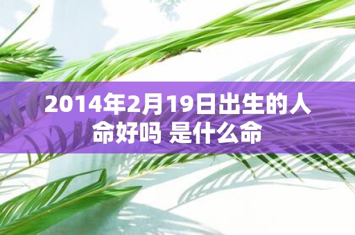 2014年2月19日出生的人命好吗 是什么命