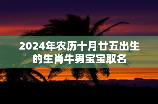 2025年农历十月廿五出生的生肖牛男宝宝取名