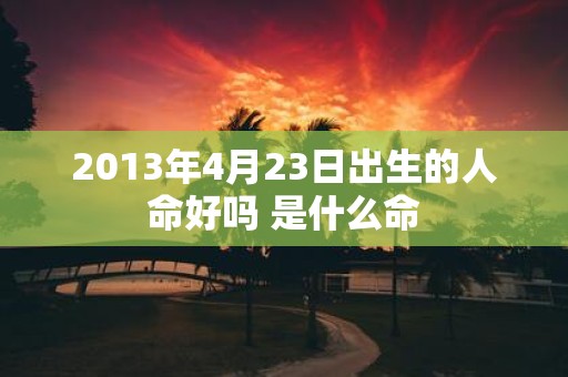 2013年4月23日出生的人命好吗 是什么命