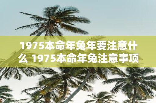 1975本命年蛇年要注意什么 1975本命年兔注意事项