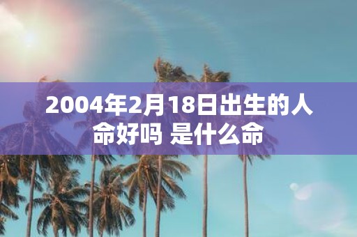 2004年2月18日出生的人命好吗 是什么命