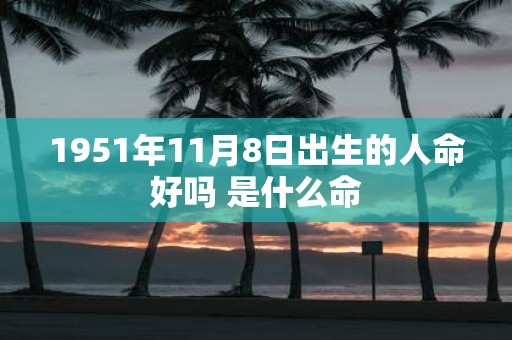 1951年11月8日出生的人命好吗 是什么命