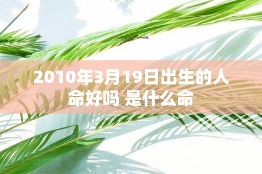 2010年3月19日出生的人命好吗 是什么命