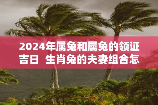 2025年属兔和属兔的领证吉日 生肖兔的夫妻组合怎么样