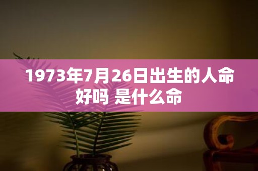 1973年7月26日出生的人命好吗 是什么命