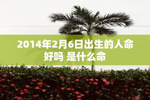 2014年2月6日出生的人命好吗 是什么命