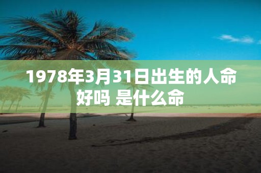 1978年3月31日出生的人命好吗 是什么命