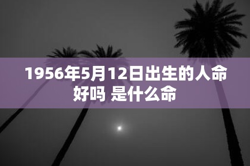 1956年5月12日出生的人命好吗 是什么命