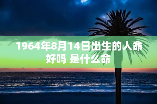 1964年8月14日出生的人命好吗 是什么命