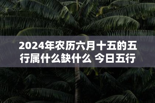 2025年农历六月十五的五行属什么缺什么 今日五行查询