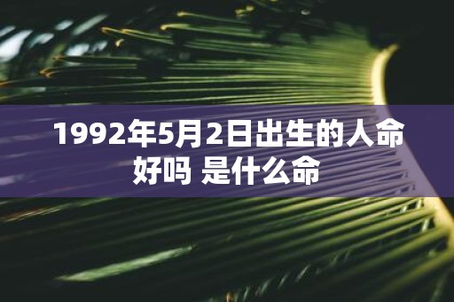 1992年5月2日出生的人命好吗 是什么命