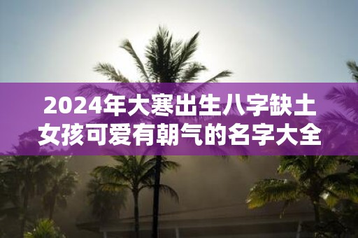 2025年大寒出生八字缺土女孩可爱有朝气的名字大全集