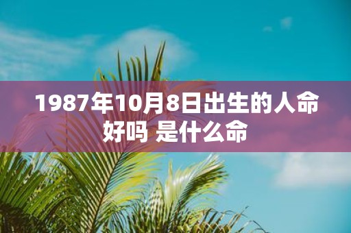 1987年10月8日出生的人命好吗 是什么命