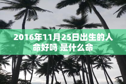 2016年11月25日出生的人命好吗 是什么命