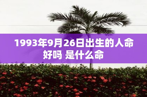 1993年9月26日出生的人命好吗 是什么命