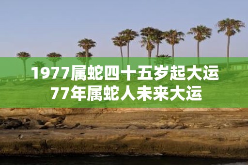 1977属蛇四十五岁起大运 77年属蛇人未来大运