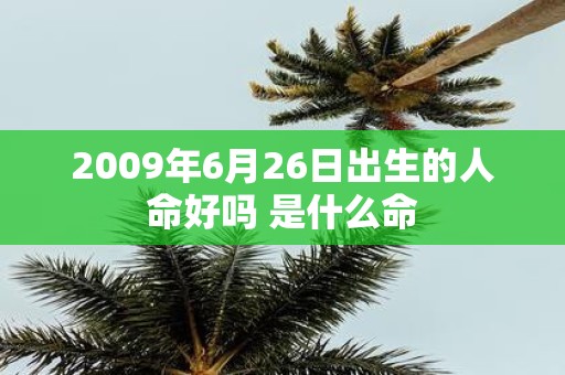 2009年6月26日出生的人命好吗 是什么命
