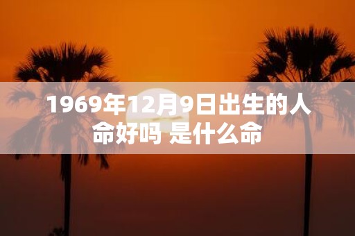 1969年12月9日出生的人命好吗 是什么命