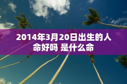2014年3月20日出生的人命好吗 是什么命