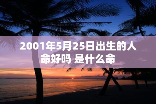 2001年5月25日出生的人命好吗 是什么命
