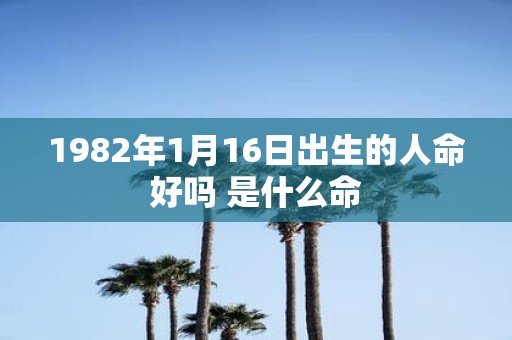 1982年1月16日出生的人命好吗 是什么命