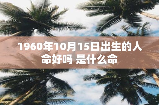 1960年10月15日出生的人命好吗 是什么命