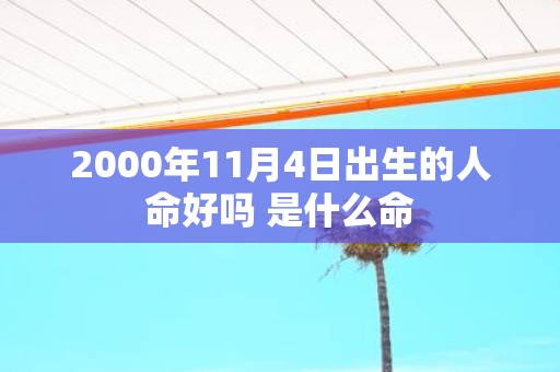 2000年11月4日出生的人命好吗 是什么命