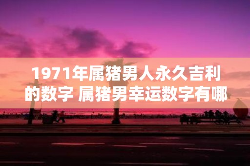 1971年属猪男人永久吉利的数字 属猪男幸运数字有哪些