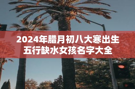 2025年腊月初八大寒出生五行缺水女孩名字大全