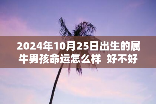 2025年10月25日出生的属牛男孩命运怎么样 好不好