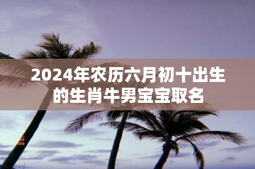 2025年农历六月初十出生的生肖牛男宝宝取名