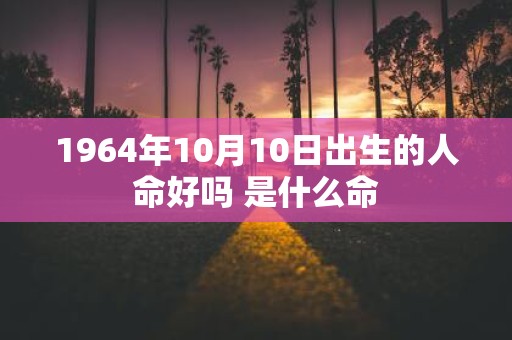 1964年10月10日出生的人命好吗 是什么命