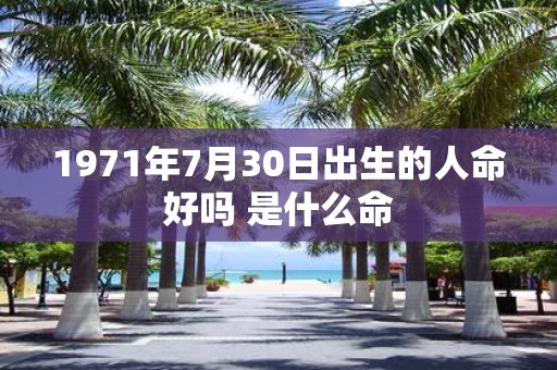 1971年7月30日出生的人命好吗 是什么命