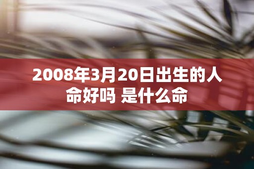 2008年3月20日出生的人命好吗 是什么命