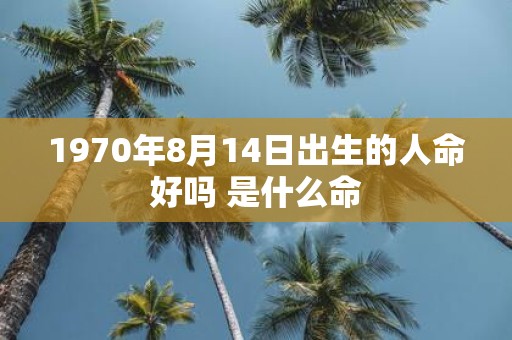 1970年8月14日出生的人命好吗 是什么命