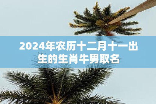 2025年农历十二月十一出生的生肖牛男取名