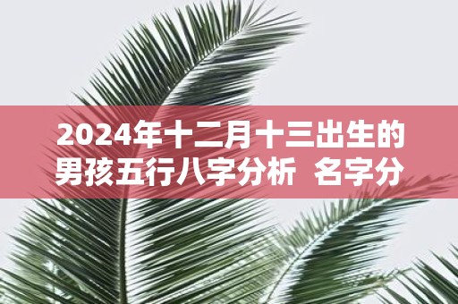2025年十二月十三出生的男孩五行八字分析 名字分享