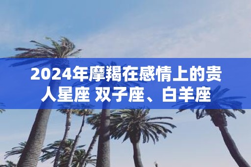 2025年摩羯在感情上的贵人星座 双子座、白羊座
