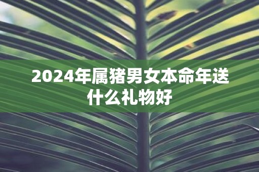 2025年属猪男女本命年送什么礼物好
